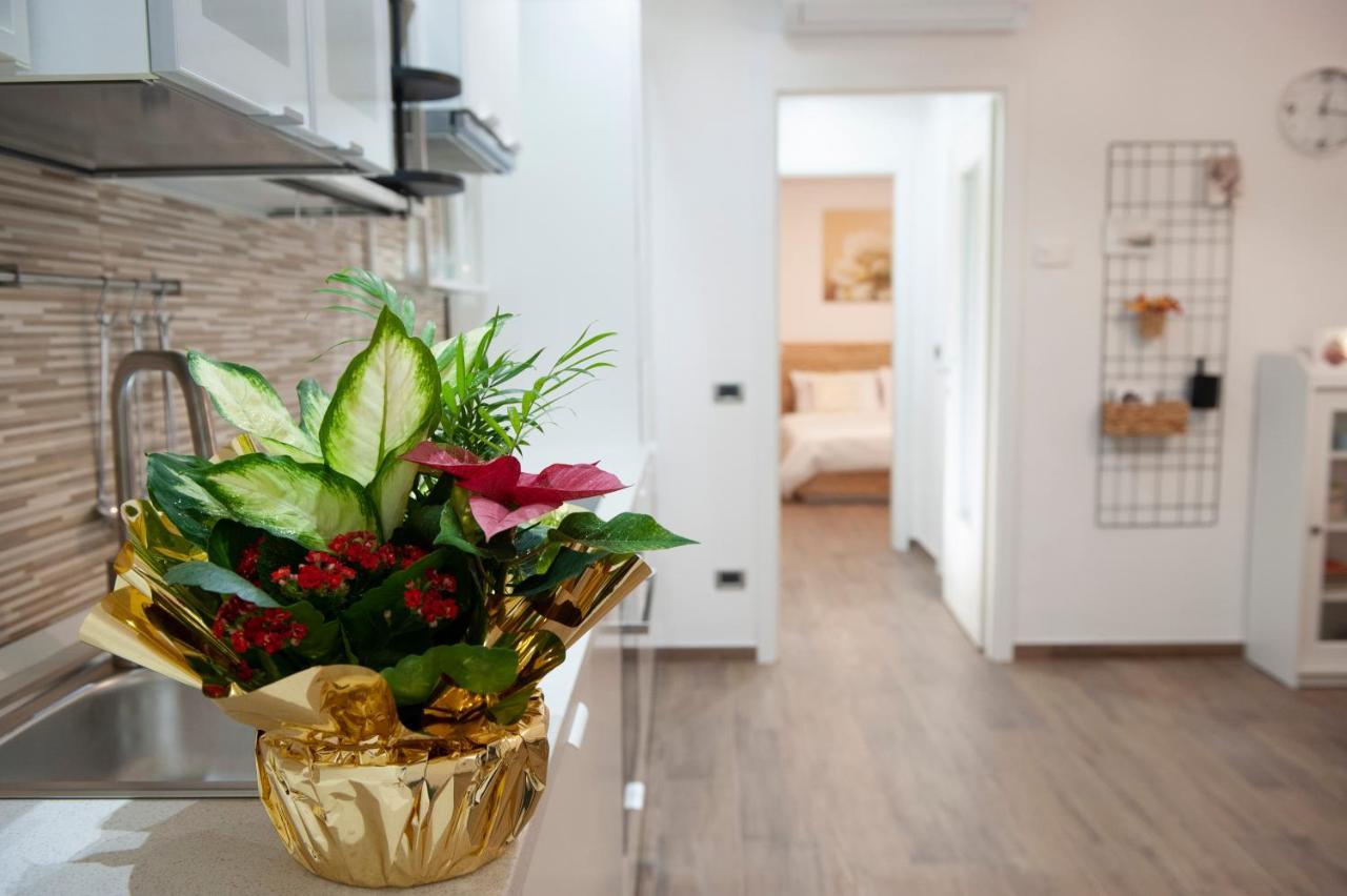 Sungarda Apartment Monzambano Exteriér fotografie